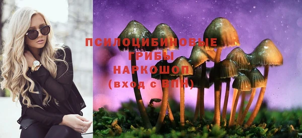 сатива Вязьма