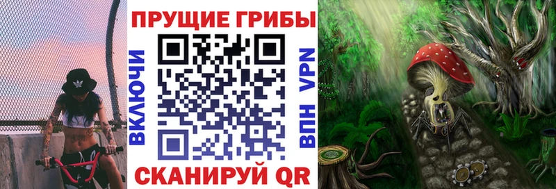 Псилоцибиновые грибы Psilocybe  Орск 